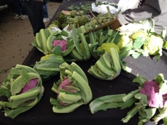 Colorful_cauliflower.JPG