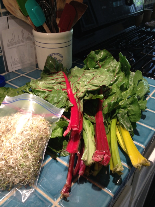 Rainbow_Swiss_Chard.JPG